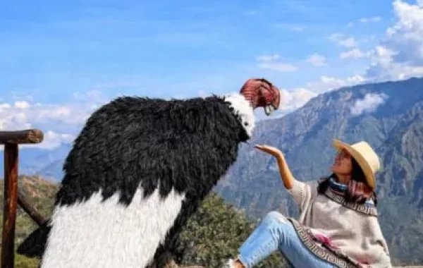 Mirador del Cañon del Colca, Cruz del Cóndor-Arequipa