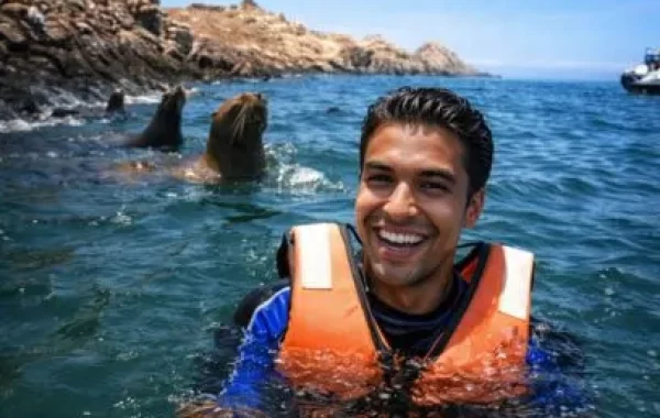 Islas palomino nada con Lobos marinos - Lima